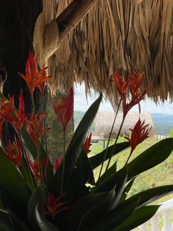 La Manola Finca Hotel Дорадаль Экстерьер фото